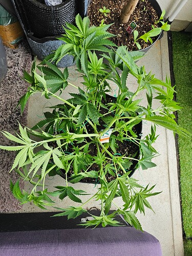 Growreport Bild 14