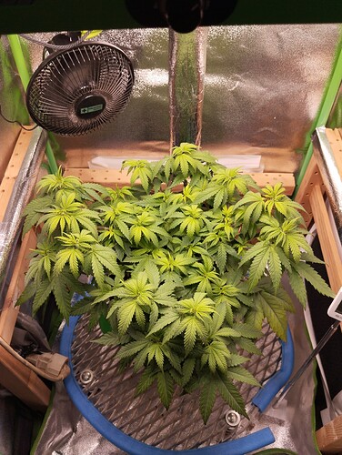 _storage_emulated_0_DCIM_Camera_IMG_20241102_202832 - Kopie