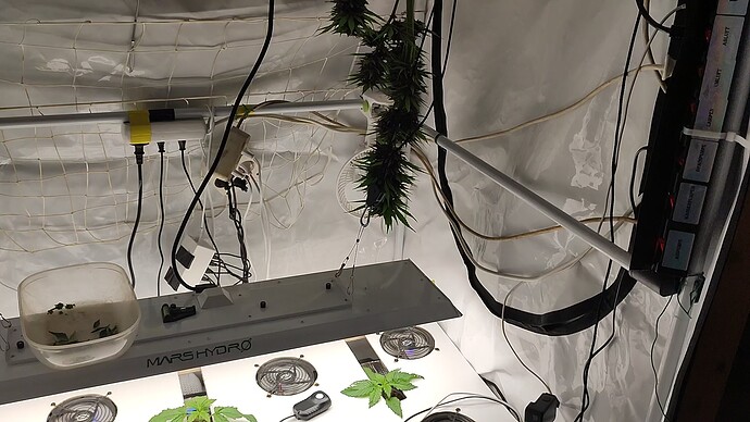 Growreport Bild 3