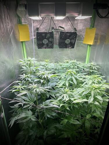 Growreport Bild 3