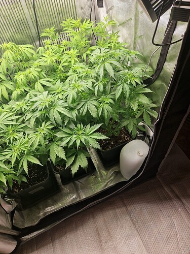 WhatsApp Bild 2024-05-05 um 08.00.46_ad514119