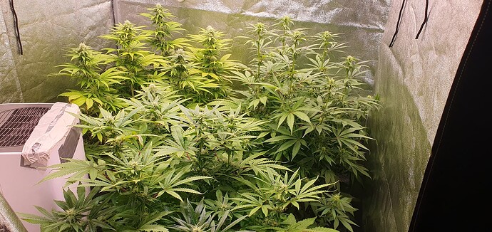 Growreport Bild 4
