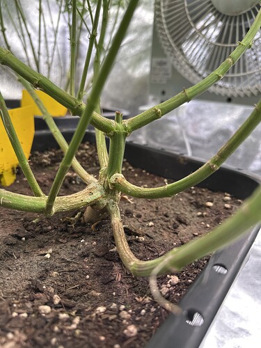 Growreport Bild 57