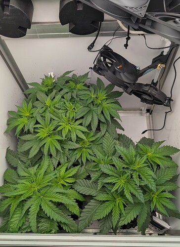 PXL_20250413_060000578.MP~2