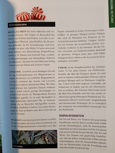 IMG_20240423_163709243_20240423_163807