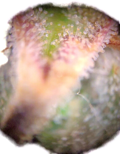 Growreport Bild 10