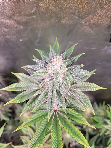 Growreport Bild 14