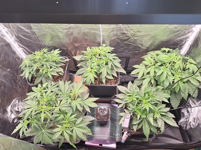 Growreport Bild 2