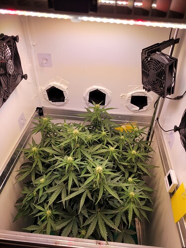 Growreport Bild 9