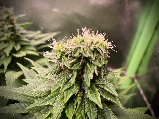 Growreport Bild 10