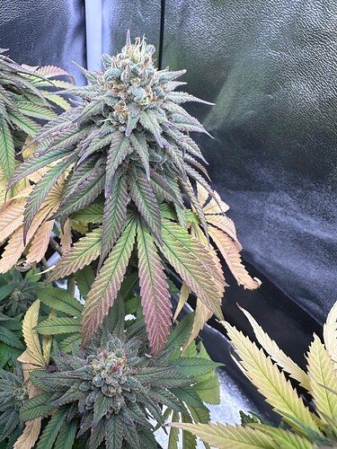 Growreport Bild 18