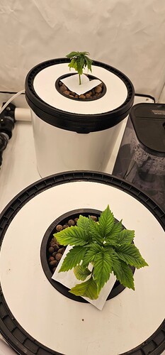 Growreport Bild 9