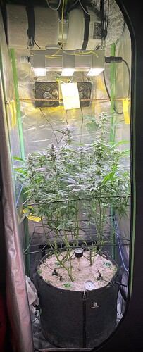 Growreport Bild 2