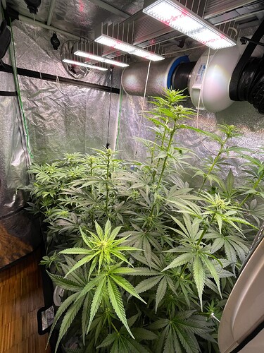 Growreport Bild 5