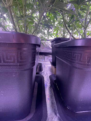 Growreport Bild 15