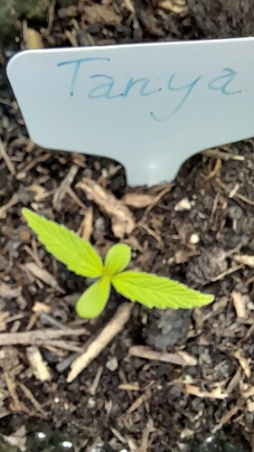 Growreport Bild 19