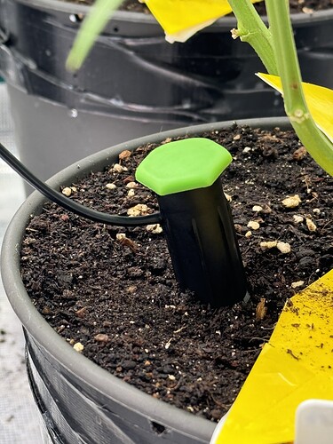 Growreport Bild 15
