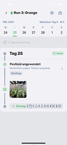 Growreport Bild 3