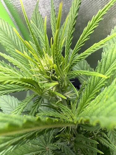 Growreport Bild 4