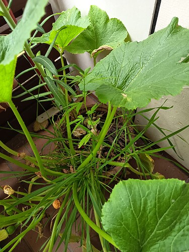 Growreport Bild 8