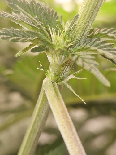 Growreport Bild 19