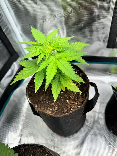 WhatsApp Image 2024-04-14 at 19.56.03