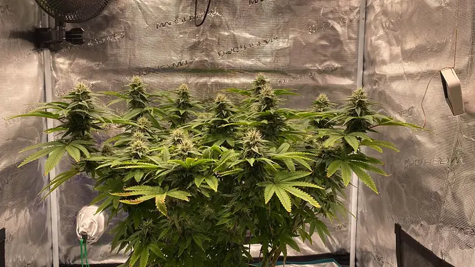 13E399AD-24ED-4A07-B089-E2A94EDF27E1