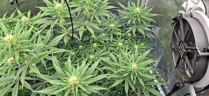 Growreport Bild 8