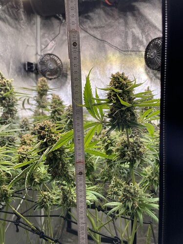Growreport Bild 1