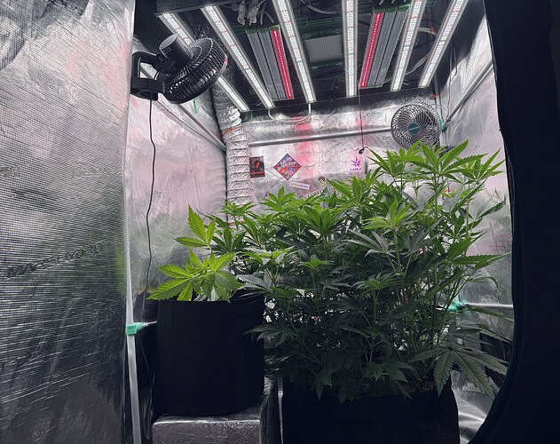 Growreport Bild 13