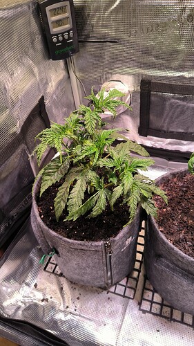 Growreport Bild 4