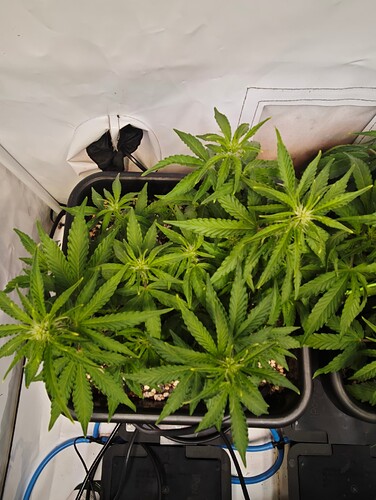 MVIMG_20251017_162050