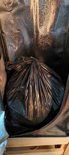 WhatsApp Image 2026-01-18 at 18.37.36 (1)