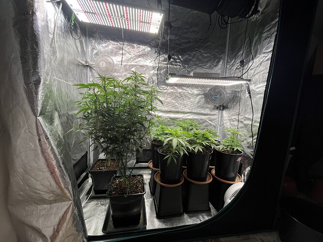 Growreport Bild 22