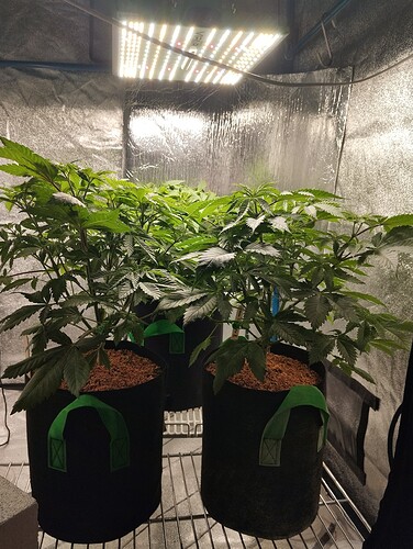 Growreport Bild 11