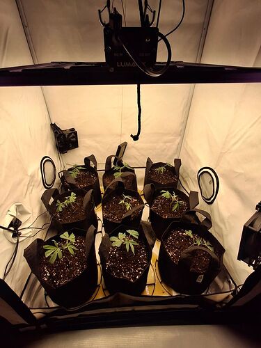 Growreport Bild 7