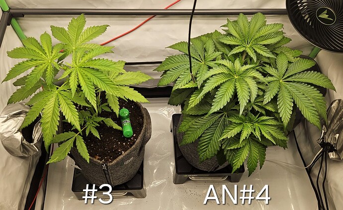 Growreport Bild 2