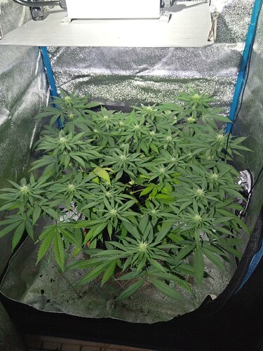 Growreport Bild 12