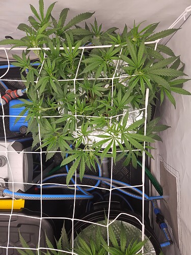 Growreport Bild 12