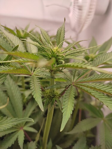 Growreport Bild 10
