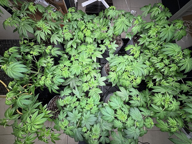 Growreport Bild 23