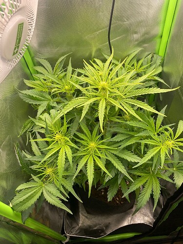 WhatsApp Bild 2024-05-01 um 13.08.35_a3d548ac