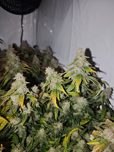 MVIMG_20251128_150040