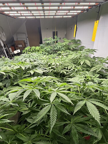 Growreport Bild 5