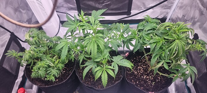 Growreport Bild 14