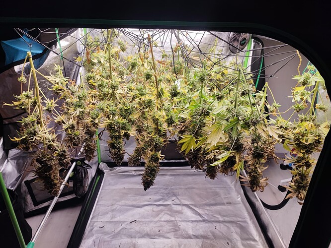 Growreport Bild 138
