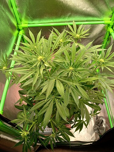 Growreport Bild 18