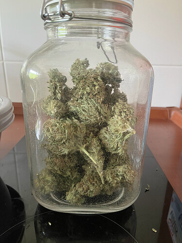 9BBEF04A-DBBD-4A63-B488-DD3F627DF1A7