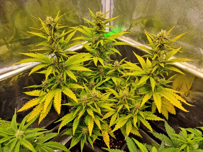 WhatsApp Bild 2024-06-23 um 18.48.15_67effabe