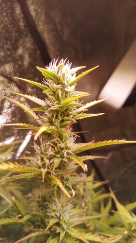 IMG_20240513_092850_530